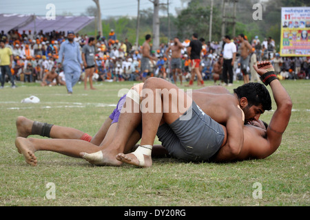 Indien, Punjab, Anadphur, Spott, kämpfen Stockfoto