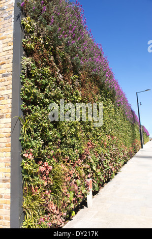 Eine grüne Wand in Kings Cross, Camden, London. Stockfoto