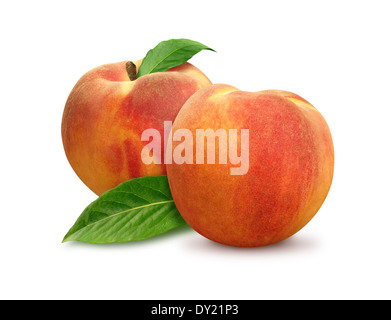 Zwei Pfirsiche mit Blättern isoliert auf einem weißen Hintergrund. Stockfoto