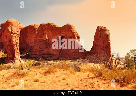 Elefant-Arches-Nationalpark, Utah, USA Stockfoto
