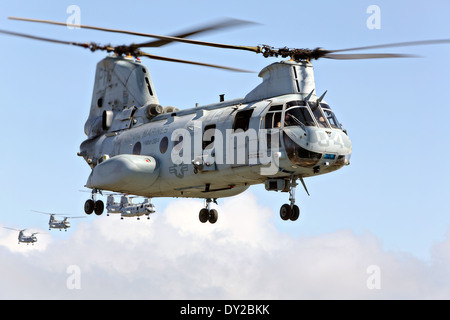 US-Marines fliegen Hubschrauber CH-46E Sea Knight in Bildung 31. März 2014 über San Diego, Kalifornien. Nach 47 Jahren fliegt die CH-46 werden die Marines den Hubschrauber-Übergang auf das MV-22 Osprey kippen-Rotor Flugzeug in den Ruhestand. Stockfoto