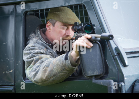 Ein Spiel-Keeper Schädlinge im Laufe des Tages von einem Land Rover Fahrzeug mit einem Gewehr schießen Stockfoto