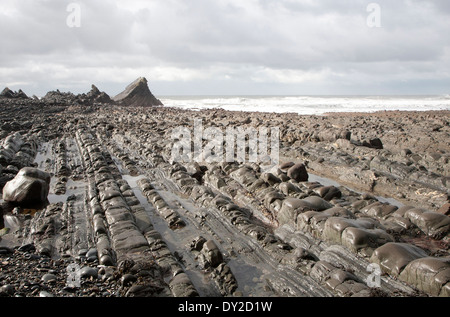 Felsigen Welle schneiden Plattform erosive Landschaftsformen mit Bergrücken gebildet von erodierten geneigten Schichten am Hartland Quay, North Devon, England Stockfoto