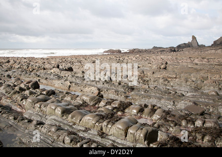 Felsigen Welle schneiden Plattform erosive Landschaftsformen mit Bergrücken gebildet von erodierten geneigten Schichten am Hartland Quay, North Devon, England Stockfoto
