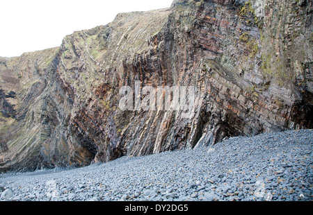 Komplexe Faltung des sedimentären Gesteinsschichten in Steilküsten am Hartland Quay, North Devon, England Stockfoto