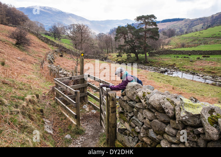 Senior Wanderer zu Fuß durch ein küssen Tor in Steinmauer auf einem Wanderweg durch Ackerland Feld im Lake District National Park Glenridding Cumbria UK Stockfoto