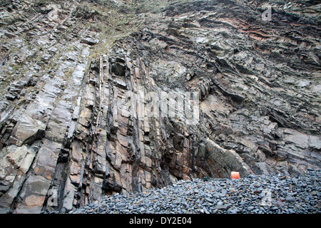 Komplexe Faltung des sedimentären Gesteinsschichten in Steilküsten am Hartland Quay, North Devon, England Stockfoto