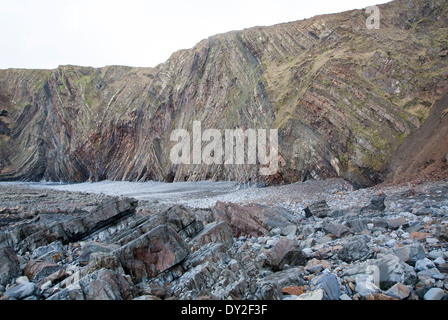 Komplexe Faltung des sedimentären Gesteinsschichten in Steilküsten am Hartland Quay, North Devon, England Stockfoto