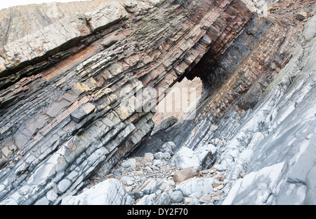 Komplexe Faltung des sedimentären Gesteinsschichten in Steilküsten am Hartland Quay, North Devon, England Stockfoto