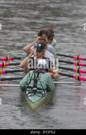 Putney, London, UK. 4. April 2014. Mitglieder der Universität Cambridge boat Club Praxis auf der Themse in Vorbereitung der 160. BNY Mellon University Boat Race am Sonntag, den 6. April. Die jährliche Universitätsregatta findet statt zwischen den Besatzungen von Cambridge (Goldie) und Oxford (Blues) Form Putney Mortlake Credit: Amer Ghazzal/Alamy Live-Nachrichten Stockfoto