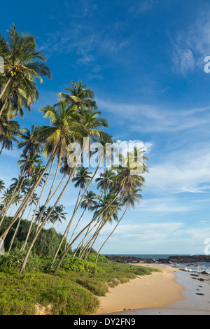 Sri Lanka. Godellawela Strand von Tangalle Stockfoto