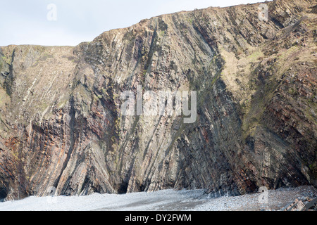 Komplexe Faltung des sedimentären Gesteinsschichten in Steilküsten am Hartland Quay, North Devon, England Stockfoto