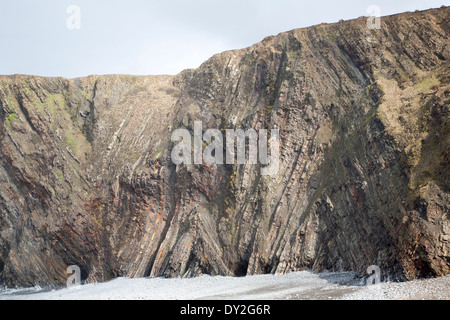Komplexe Faltung des sedimentären Gesteinsschichten in Steilküsten am Hartland Quay, North Devon, England Stockfoto