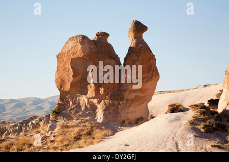 Kamel-geformten Felsen, Devrenet Tal, Landschaft rund um Göreme, Kappadokien, Anatolien, Türkei, Asien Stockfoto