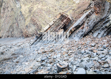 Komplexe Faltung des sedimentären Gesteinsschichten in Steilküsten am Hartland Quay, North Devon, England Stockfoto