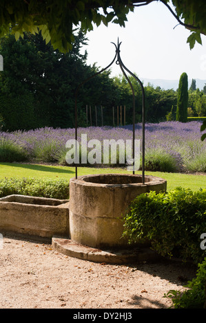 Alte Stein auch im provenzalischen Garten mit Lavendel Stockfoto