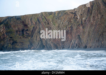 Komplexe Faltung des sedimentären Gesteinsschichten in Steilküsten am Hartland Quay, North Devon, England Stockfoto