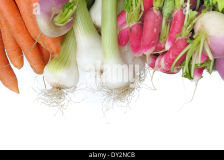 frisches Gemüse, Karotten, Radieschen, Zwiebeln, Rüben, die in einer Reihe auf weißem Hintergrund angeordnet Stockfoto