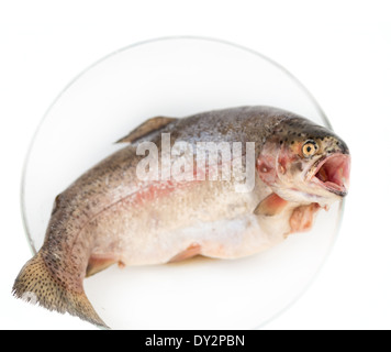 Frische Forellen Fischen am Kamin gekocht werden Stockfoto