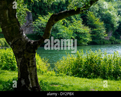 Den See und die Bäume am Creswell Crags Höhlen eine prähistorische Kalkstein-Schlucht mit Eiszeit-Ära im Norden Derbyshire England UK Stockfoto