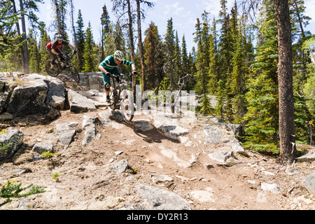 Zwei Mountainbiker auf einem felsigen Pfad in der Nähe von Carcross, Yukon, Kanada. Stockfoto