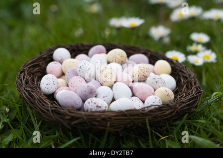 Mini-Ostereier in einem Korb auf dem Rasen. Stockfoto