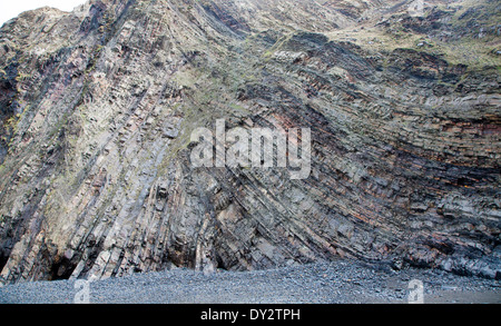 Komplexe Faltung des sedimentären Gesteinsschichten in Steilküsten am Hartland Quay, North Devon, England Stockfoto