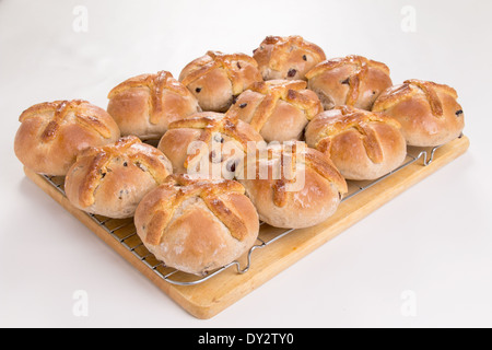 12 traditionelle Hot Cross Buns mit Marzipan kreuzt auf Draht Kühlung Tablett (23 aus einer Reihe von 24) Stockfoto