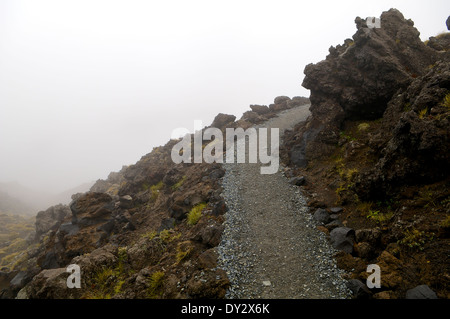 Präparierte Weg entlang der Tongariro Alpine Crossing, Neuseeland. Stockfoto