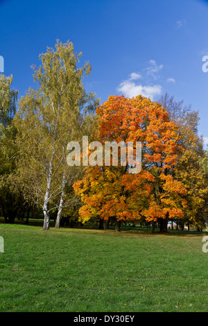 Farben des Herbstes, Lidice Park, Tschechische Republik Stockfoto