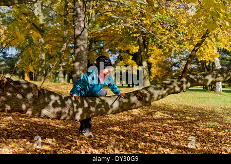 Farben des Herbstes, Lidice Park, Tschechische Republik Stockfoto