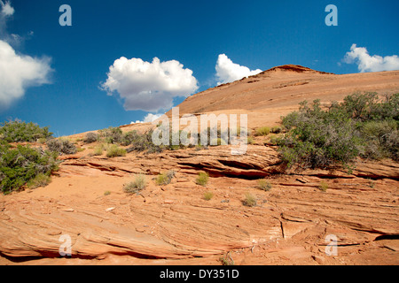 Eine schöne Aussicht auf einem felsigen Hügel in Arizona, USA Stockfoto