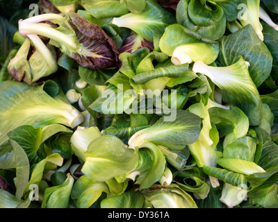 Frische Salatblätter in einer Mischung bereit, Essen Stockfoto