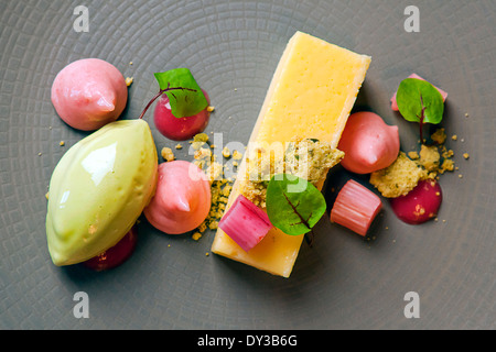 Sommer-Rhabarber-Dessert von einem Durham-basierte Michelin empfohlene Koch zubereitet Stockfoto