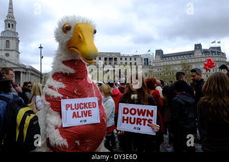 London, UK. 5. April 2014. Tier Rechte Demonstranten Kampagne gegen die Verwendung von unten wie Kissenschlacht in Trafalgar Quadrat Credit gehalten wird: Rachel Megawhat/Alamy Live News Stockfoto