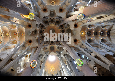 Innenraum der Kathedrale Sagrada Familia in Barcelona, Spanien Stockfoto