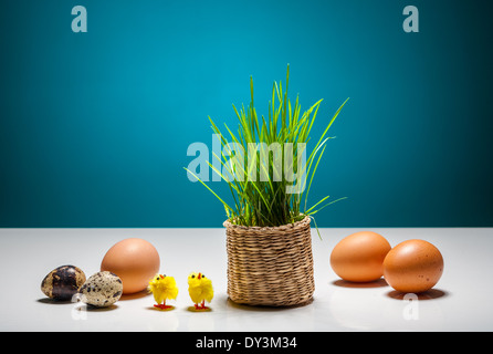 Ostern-Stillleben mit Eiern, Hühnern, Rasen in einer Vase. Farbigen Hintergrund. Tiere April Kunst Baby Hintergründe Korb Vögel Cele Stockfoto