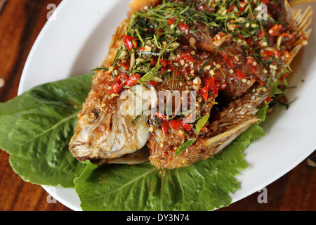 Fried Rubin Fisch mit süß, Sauer und hot Sauce auf Teller garniert Stockfoto