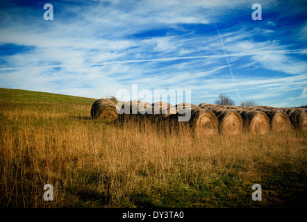 Heuballen sind auf offenem Feld unter einem Himmel voller Wolken und Kondensstreifen hintereinander aufgereiht. Stockfoto