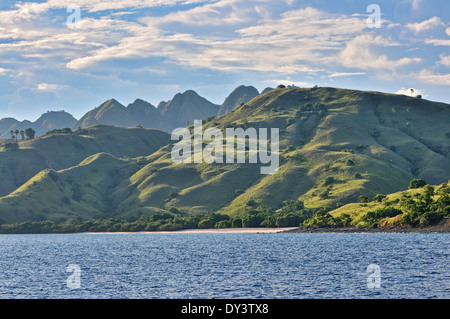 Auf Flores, East Nusa Tenggara, Indonesien getroffen. Stockfoto