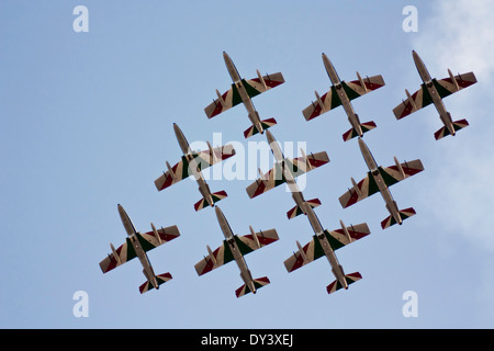 DUBAI - NOV 19: Kampfjets während der 11. Ausgabe der Dubai Air Show in Dubai, Vereinigte Arabische Emirate am 19. November 2009 statt. Stockfoto