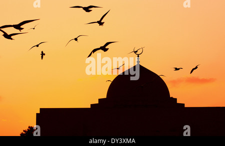 Moschee in die Abend-Vögel fliegen Stockfoto