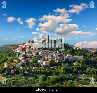 Motovun Altstadt auf dem Hügel. Istrien, Kroatien Stockfoto