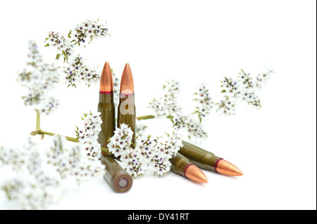 Bekämpfung von Patronen mit einer Blume-Niederlassung Stockfoto