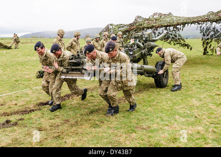 Soldaten der Royal Artillery Stamm ziehen eine 105 mm Light Artillery Gun Stockfoto