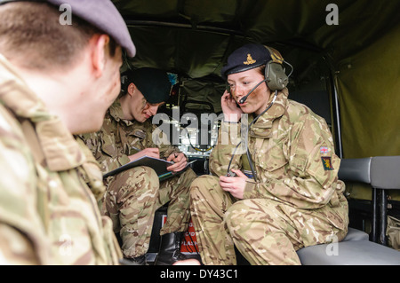 Royal Artillery Funker Relais Anweisungen, um ein höherer Offizier Stockfoto