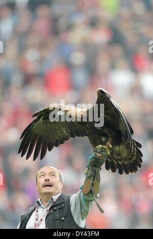 Der Goldene Adler "Attila", Frankfurter Maskottchen, ist während der Bundesliga-Fußball-Spiel zwischen Eintracht Frankfurt und 1 abgebildet. FSV Mainz 05 in der Commerzbank Arena in Frankfurt/Main, Deutschland, 5. April 2014. Frankfurt gewann das Spiel 2: 0. Foto: Fredrik van Erichsen/dpa Stockfoto