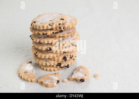 Garibaldi Frucht Kekse/Cookies in Stapel mit einem gebrochenen Keks vorne auf einem blassen Hintergrund (9 aus einer Reihe von 17) Stockfoto