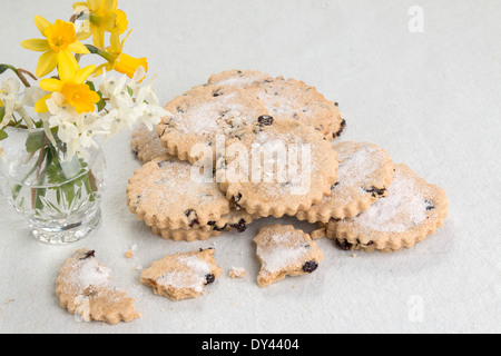 Ein paar Garibaldi Frucht Kekse / mit einem gebrochenen Keks vorne auf blassen Hintergrund Vase mit Narzissen und Corydalis (12 von 17) Stockfoto