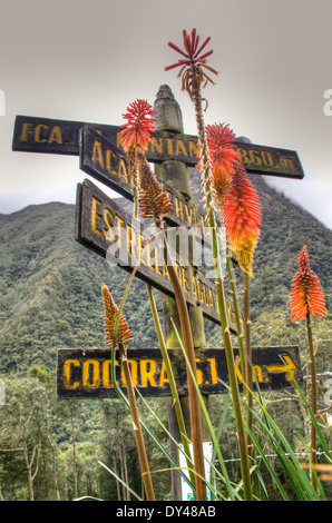 Straßenschild an der Cocora-Tal in der Nähe von Salento, Kolumbien Stockfoto